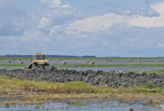 Much of our past investment in water management infrastructure has been dedicated to either keeping water at bay or getting rid of it as quickly as possible.