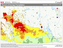 This map shows the per cent of average precipitation that has fallen across the Prairies so far this fall (Sept. 1 to Nov. 22). It is an interesting pattern. The northern and western half of the Prairies saw below average precipitation and the southern and eastern half had near to above average amounts.