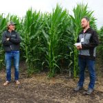 Joe Gardiner of Covers & Co. (left) and Scott Chalmers of the Westman Agricultural Diversification Organization
near Melita.