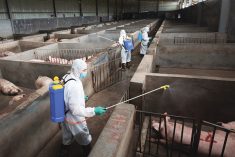 Husbandry and veterinary bureau workers in protective suits disinfect a pig farm as a prevention measure for African swine fever in Jinhua, China, in August 2018.