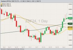 CBOT January 2024 soybeans with 20-, 50- and 100-day moving averages. (Barchart)
