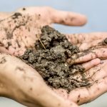 Regenerative agriculture will also be on the silver screen at this year’s event, featuring a showing of the film, “Common Ground.”