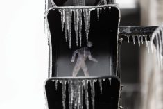 In a file photo from Montreal on April 6, freezing rain felled tree branches and damaged power lines, leaving half the city without electricity.