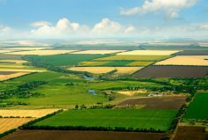 ‘As urban populations cry for housing, there’s a long list of rural communities that have watched their populations shrink for decades.’ – Alexis Stockford.