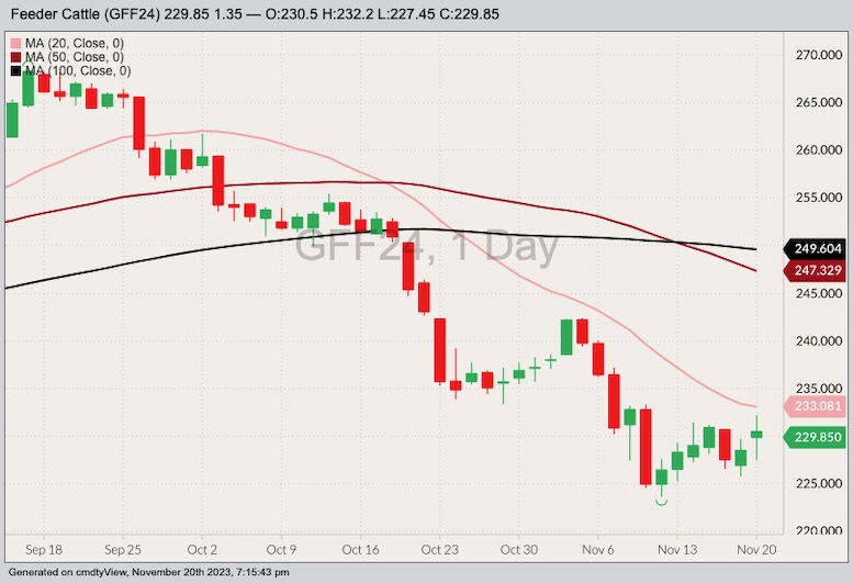 CME January 2024 feeder cattle with 20-, 50- and 100-day moving averages. (Barchart)
