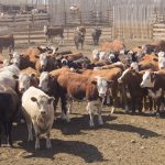 (Geralyn Wichers file photo)
