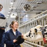 Dairy barn: left to right, U of M students Brittany Bedard and Rhea Teranishi.  Photo is courtesy of University of Manitoba.