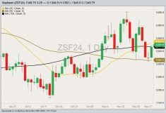CBOT January 2024 soybeans with 20-, 50- and 100-day moving averages. (Barchart)
