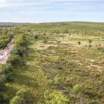 AIMCo has acquired a portfolio of 3 million acres of pasture and arable land in Western Australia. Photo: AIMco.ca