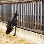 Some ag sectors will probably be less than kind toward a new film that looks at modern agricultural practices.