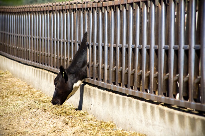 Some ag sectors will probably be less than kind toward a new film that looks at modern agricultural practices.