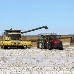 Corn is harvested despite a layer of snow Nov. 3 in the Red River Valley.