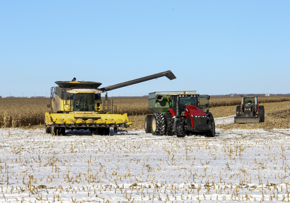 Corn is harvested despite a layer of snow Nov. 3 in the Red River Valley.