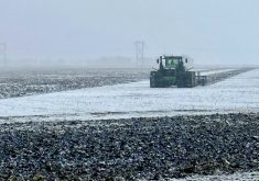 Fields get worked north of Morden Nov. 6 as the flurries flew.