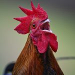 (Freder/iStock/Getty Images)
