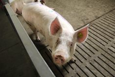 Agriculture has the potential to further drive Manitoba’s economy, bring investment to our province and develop our communities.