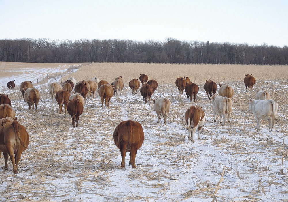 Prairie forecast: Average to above average temperatures to continue