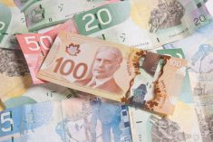 Growers are starting to feel the pinch of inflation, high interest rates and rising labour costs.