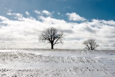 Massive investment firms are pushing the cost of land out of reach. The cost of farmland is skewed by the interests of investment firms who are purchasing land far above market rate.