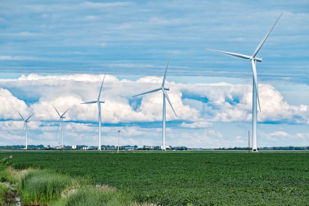 File photo of a field of soybeans under turbines at southern Manitoba’s St. Joseph wind farm. (Dougall_Photography/iStock/Getty Images)
