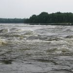 The head of the rapids at the aptly named Sturgeon Falls on the Winnipeg River provides an example of spawning grounds.
