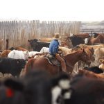 (Photo courtesy Canada Beef Inc.)
