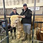 Fran Wilkinson and Clarke Childs pose with one of their Highland cattle at Brandon’s Ag Ex in late October.
