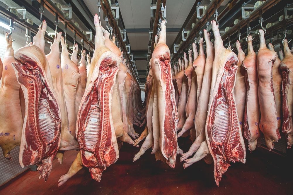 Sides of pork in cold storage. (Agnormark/iStock/Getty Images)
