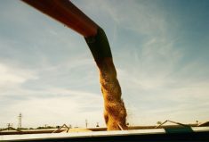 The next data from StatCan will be the stocks on hand in the country as of Dec. 31.