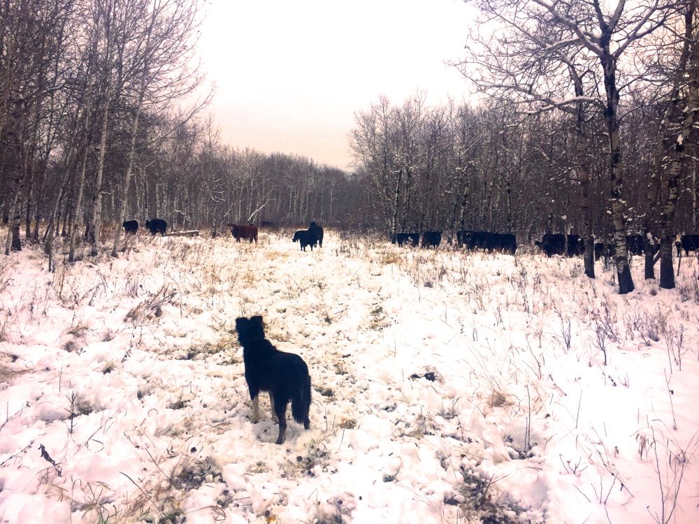  (Lisa Guenther photo)
