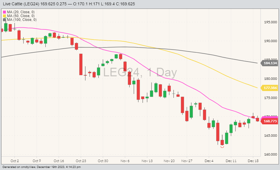 Live cattle futures LEG24 on Dec. 19 with 20, 50 and 100 day moving averages. (Barchart)
