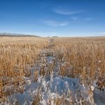 “While the fall report shows our rivers have the capacity to receive a normal amount of spring runoff, this will depend on precipitation and snowmelt rate.” – Lisa Naylor.