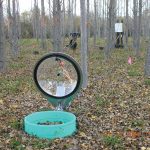 Scientific equipment in a hybrid poplar plantation in northern Alberta allows researchers to measure greenhouse gas emission rates along with soil and plant conditions without undue disruption.