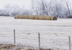 Bales, trees and fence lines finally get a dusting of frost Dec. 5 south of Brandon, after an unseasonably warm November.