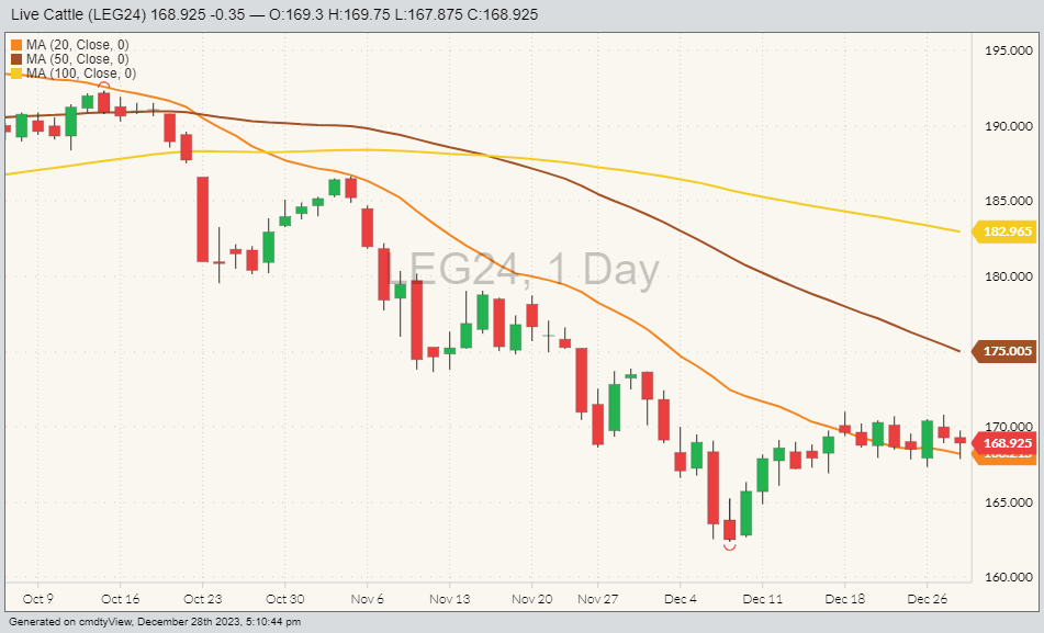 CME live cattle futures LEG24 on Dec. 28 with moving averages for 20, 50 and 100 days. (Barchart)
