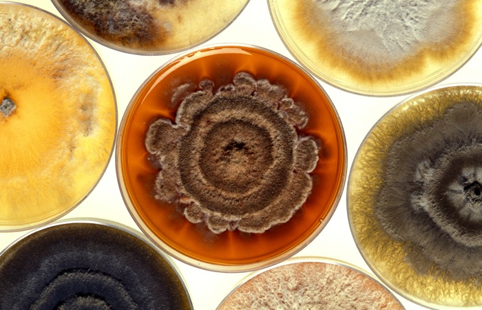Resistant bacteria can evolve anywhere. Even if some countries manage to control the problem within their borders, the risk remains.