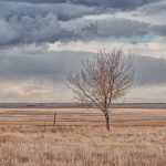 (Keeperofthezoo/iStock/Getty Images)
