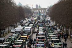 Farmers with tractors bearing the slogan “If the farmer dies, the land dies” take part in a demonstration organized by the German Farmers’ Association under the slogan “Too much is too much! Now it’s over!” in front of the Brandenburg Gate. This was prompted by the German government’s plans to abolish the agricultural diesel tax and the motor vehicle tax exemption for agriculture and forestry. Photo: Fabian Sommer/dpa via Reuters Connect.