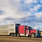 Recommendations include allowing greater flexibility for livestock transporters at the beginning and end of their trips.