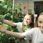 Students learn about growing food through an indoor gardening program facilitated by Agriculture in the Classroom.