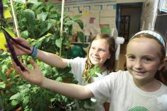 Students learn about growing food through an indoor gardening program facilitated by Agriculture in the Classroom.