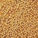Soybeans sink canola prices