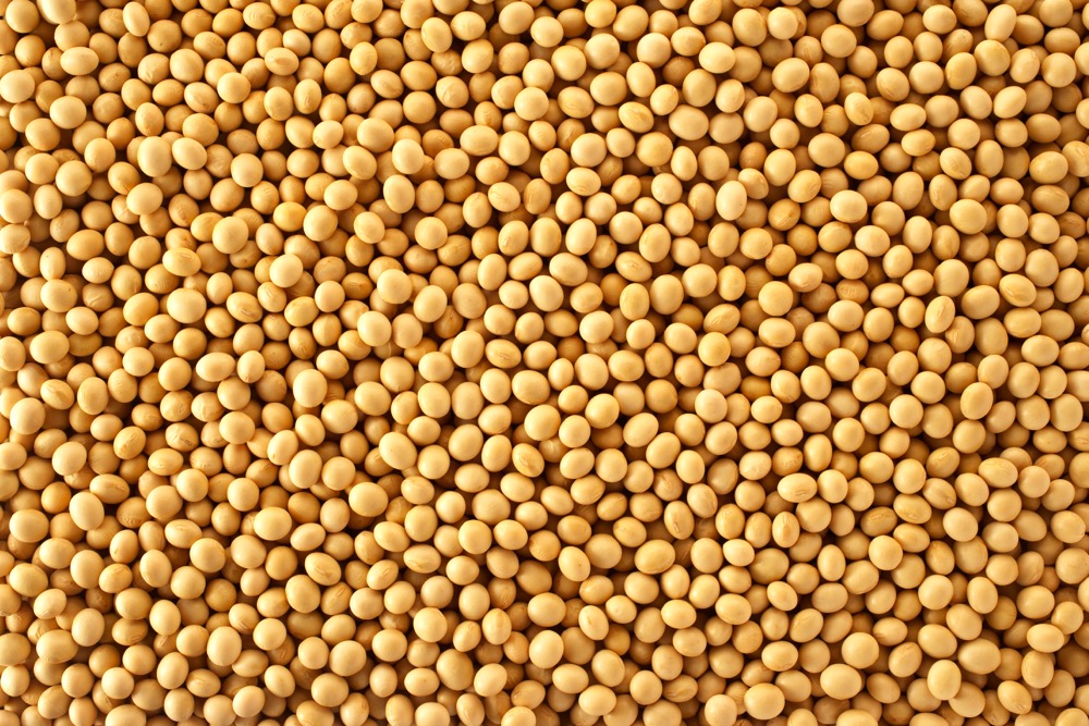 Soybeans sink canola prices