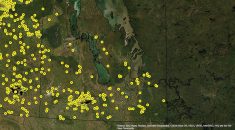 Manitoba’s wild pig instances as of Nov. 27, 2021, aggregated by the Canadian Wild Pig Research Project.