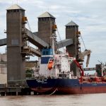 Grain is loaded onto ships for export at a port on the Parana River near Rosario, Argentina on Jan. 31, 2017. (File photo: Reuters/Marcos Brindicci)
