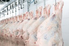 (Photo courtesy Canada Beef Inc.)
