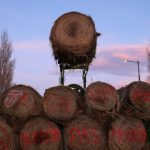 A hay bale is moved by a tractor over a pile to block a road (not the road linking France and Spain) near Castelnaudary, in the south of France, January 23, 2024. The text on the hay bales reads: “JA” referring to “Jeunes Agriculteurs” (Young Farmers) and “We just want to feed, not die”. Photo: Reuters/Nacho Doce