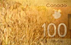 China has been a major customer for Canadian wheat so far this year.