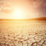 After Earth just experienced its hottest year on record, it may seem surprising to set so many cold records.