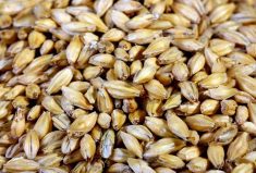 Photo: Thinkstock